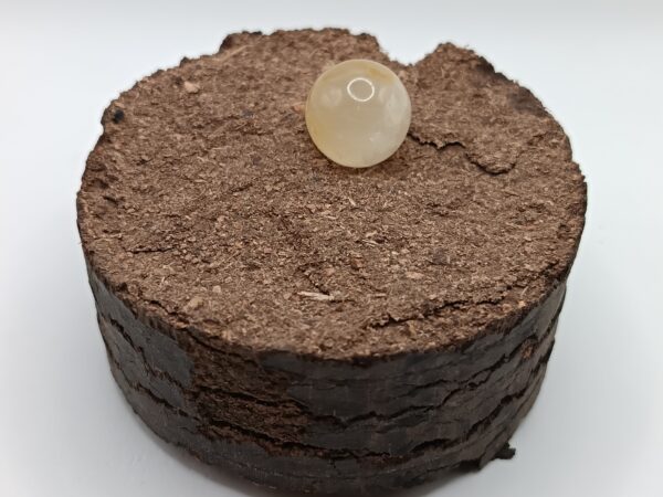PIEDRAS PULIDAS ESFERAS CUARZO HEMATOIDE - Imagen 8