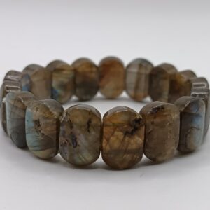 LABRADORITAS